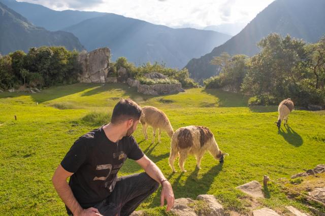 Viete, aký rozdiel je medzi lamou a alpakou? foto: Martin Šimko