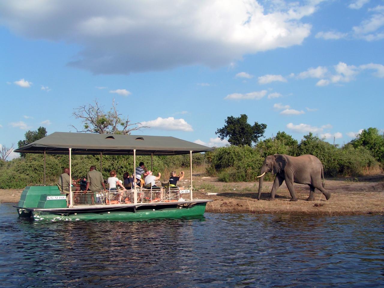 Na rieke Chobe sa robí safari aj z loďky. Pohľad na prírodu je