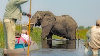 Okavango a Viktóriine vodopády