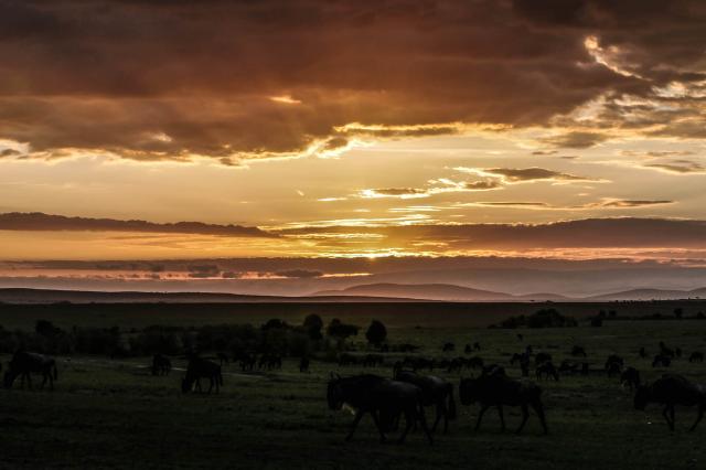 Najkrajšie západy slnka sú nad africkou savanou.
foto: archív 