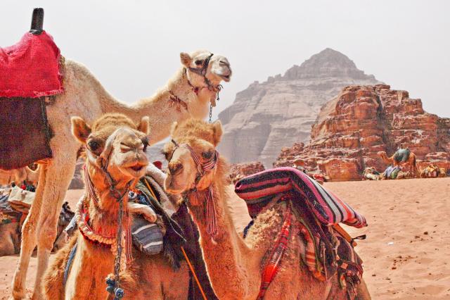 Na Wadi Rum prežijeme príbeh slávneho Lawrenca z Arábie foto: F