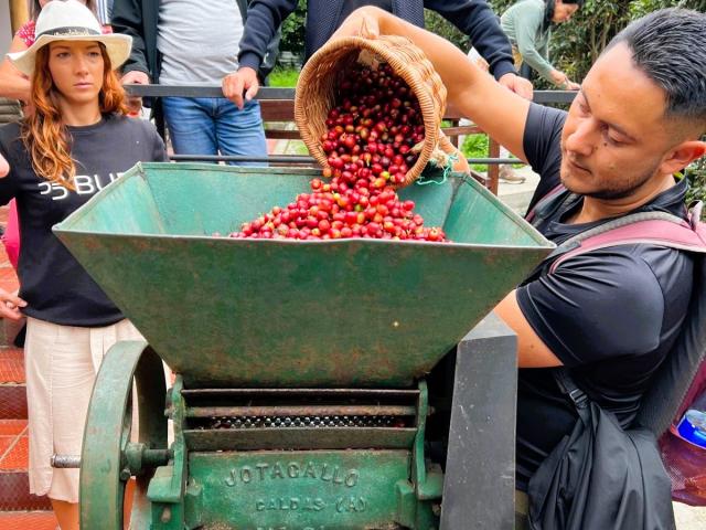 Kolumbijská káva – príbeh prírody, ľudskej práce a vášne.
Foto: