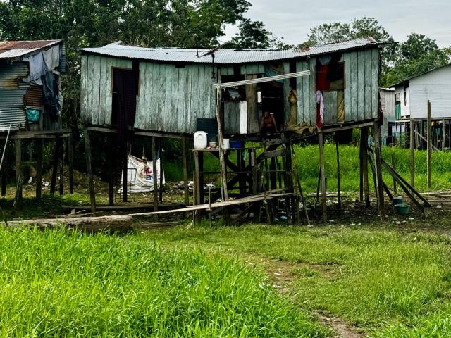 Zelené more listov, ktoré nikdy neutícha.
Foto: Viktória Várošo
