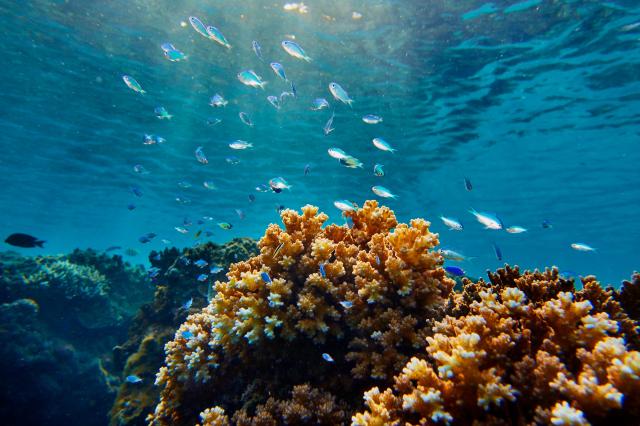 foto: Kokomo Island Fiji