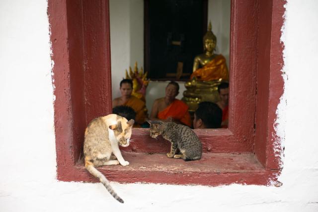 JeDeň jediný pohľad na Luang Prabang - Florenciu Juhovýchodnej 
