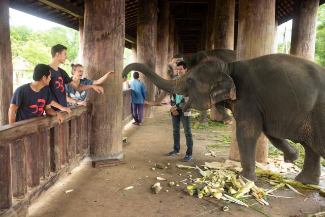 Laos je krajinou miliónov slonov. Návštevou slonom pomôžeme. Fo