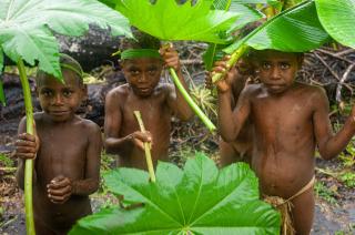 Nová Kaledónia, Vanuatu a pláže Fiji