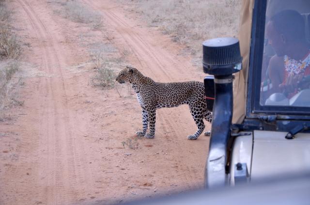 Samburu