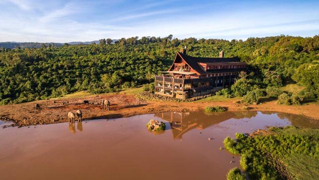 The Ark - Treetop lodge, Národný park Aberdare