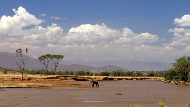 Samburu