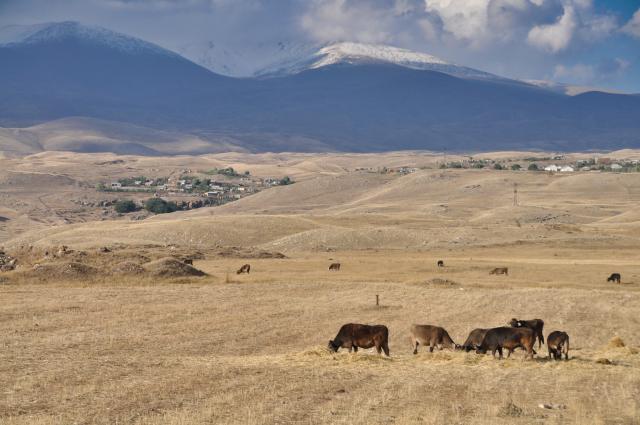 Krajina Syuniku je pokojná, posiata pasienkami a kopcami. foto: