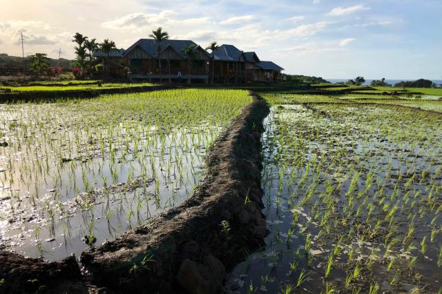Dobré ráno, Lombok.
foto : Robert TARABA — 