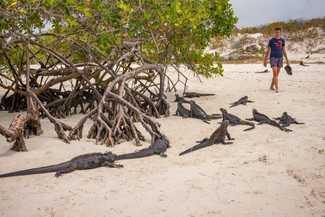 Odlietame 1000 km do hĺbky Tichého oceánu. Vzdialenosť, ktorú i