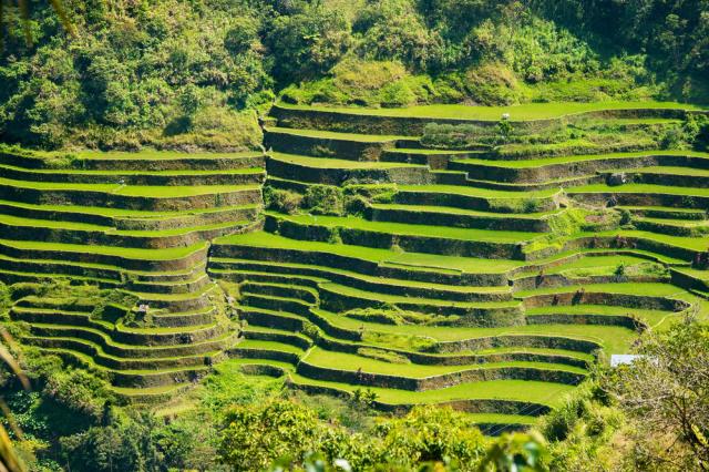 ôsmy div sveta v Banaue