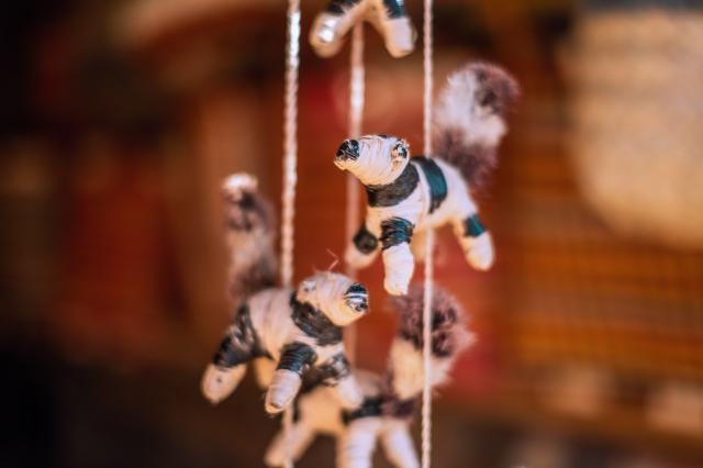 Lemur je jednoznačne symbolom ostrova. foto: Zuzana HÁBEKOVÁ – 