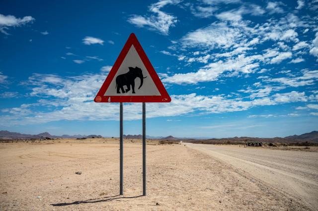 Dlho očakávané safari máme na dosah! foto: Tomáš Hulík - 