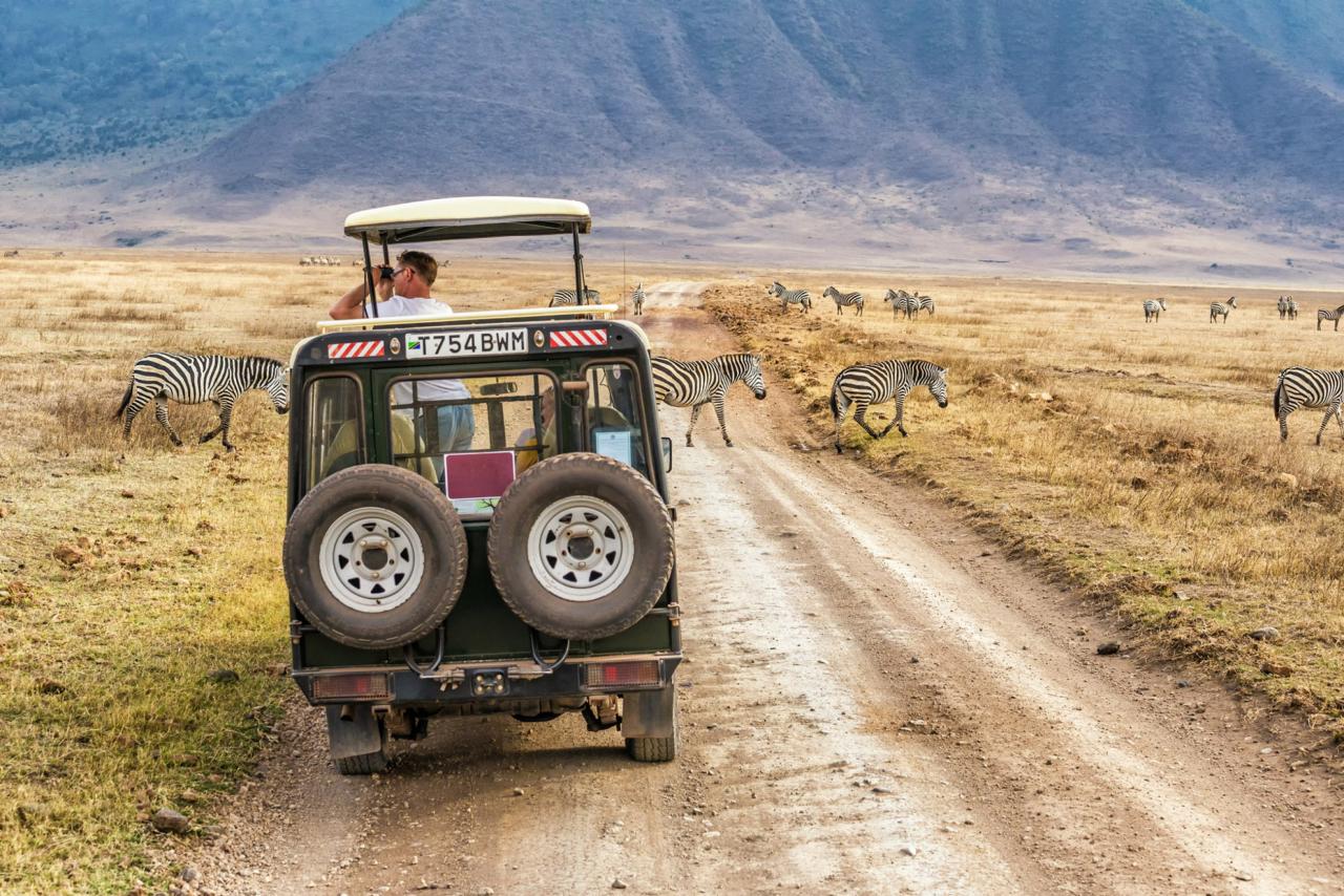 Safari je tu vždy vynikajúce, kulisy krátera naokolo sú dych be