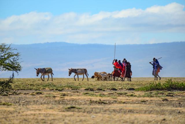 Ngorongoro je aj projektom, kde žijú veda seba masaji tradičným
