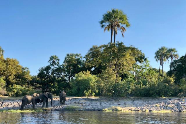 Národný park Zambezi leží na brehoch rovnomennej rieky. K vode 