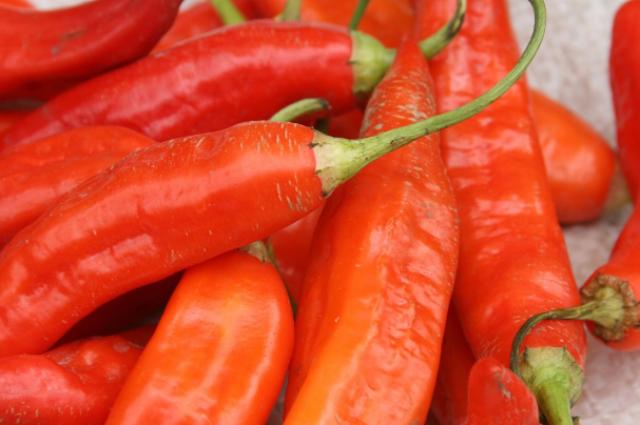 Chilli patrí neodmysliteľne k ekvádorskej kuchyni.
foto: archív