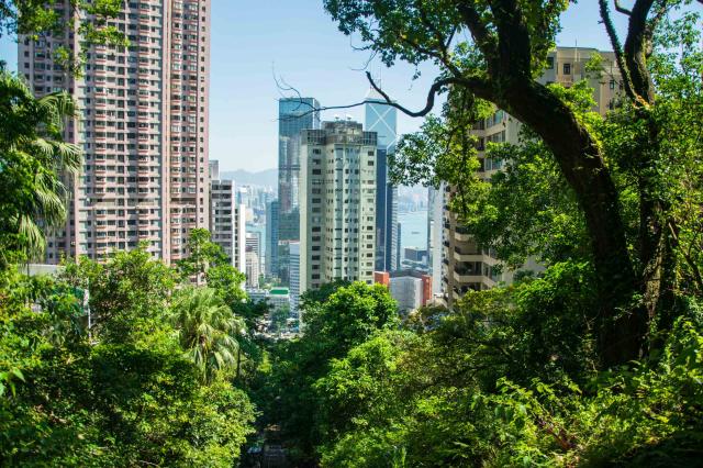 Samotná jazda preslávenou lanovkou na Victoria Peak je zážitkom