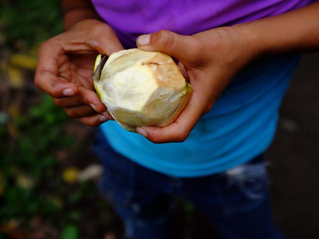 Na lokálnom trhovisku v Quito. Foto: Katarína Líšková - 