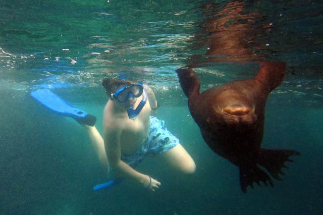 Prečo sú Galapágy také známe? Život Charlesa Darwina a čo ho na