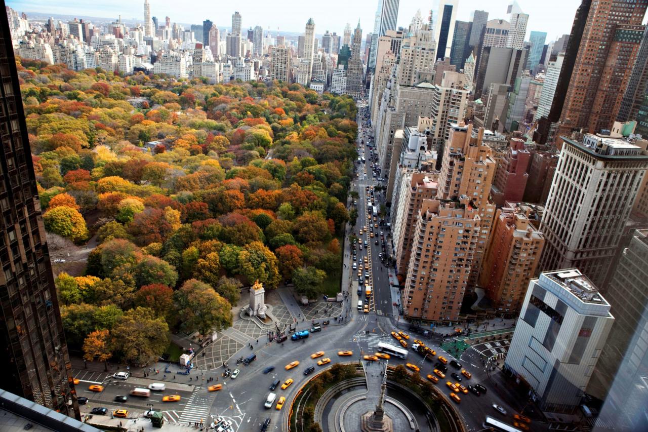 New York - Central park je kus prírody uprostred mega mesta. fo