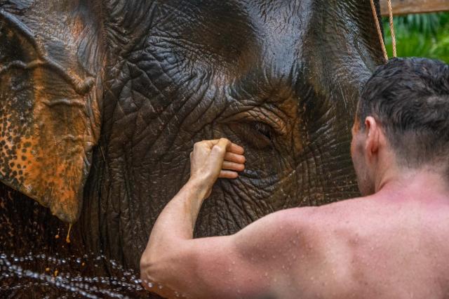 Okúpete svojho slona aj tu na thajskom Krabi? Ani tu nebudeme j