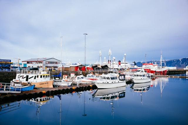 Zo starého prístavu v Reykjavíku vyrážame na ranné pozorovanie 