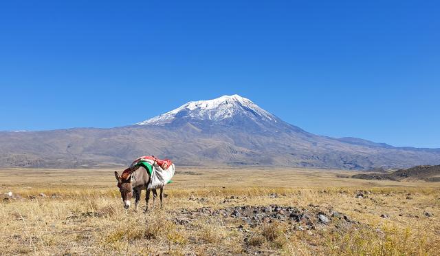 Legendárna hora. Biblický hora. Ararat a príbeh potopy sveta. P