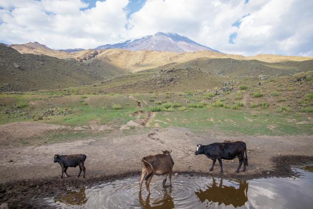 Vo výške Gerlachu (2 654 m) míňame jazierko kam chodí z dediny 
