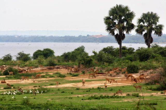 Park je exotický, rozmanitý a my sa budeme snažiť pokryť maximu