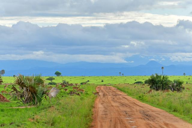 Opúšťame Murchison Falls a smerujeme nádhernou krajinou na seve