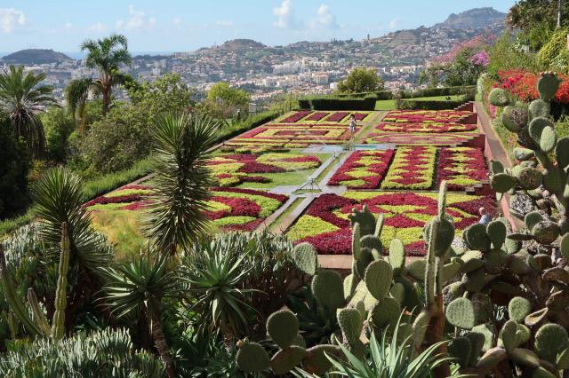 Botanická záhrada na Ostrove kvetov, Funchal.
foto: Michal Gaj 