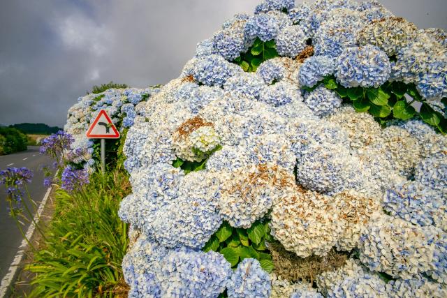 Ako keby sme boli v inej krajine, ostrov Sao Miguel je opäť úpl