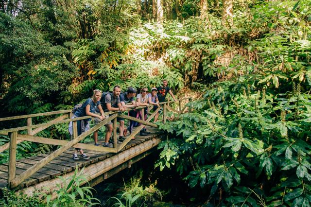 Takto bude vyzerať turistika v Azorskej džungli.
foto: Martin L
