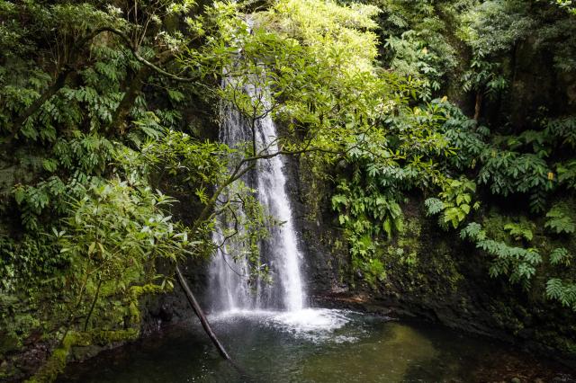 Salto do Prego, jeDeň z mnohých vodopádov na Azorách.
foto: Dan