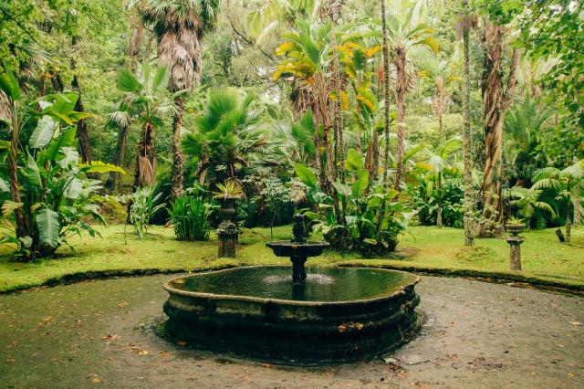 Botanická záhrada „Terra Nostra“ v mestečku Furnas.
foto: Marti