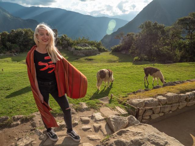 Lamy, alpacy aj vikune. Naučíme Vás všetky rozdiely. Foto: Zuza