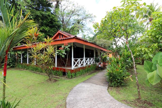 V Tortuguero sú lodge postavené v krásne zelenej záhrade. foto: