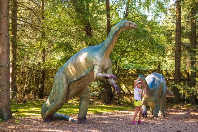 y sme počas našej prechádzky videli niekoľko druhov dinosaurov,