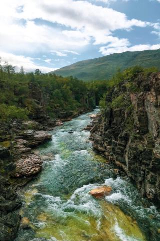 Príroda vo švédskom Abisko.
foto: Adam CHYLÍK – 