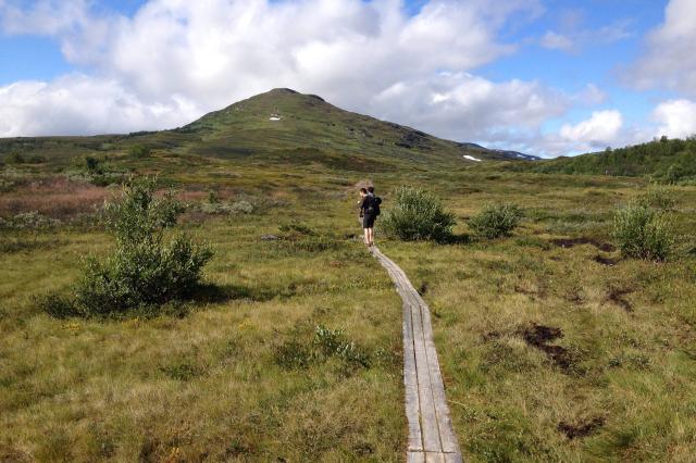 Príroda vo švédskom Abisko.
foto: Adam CHYLÍK – 