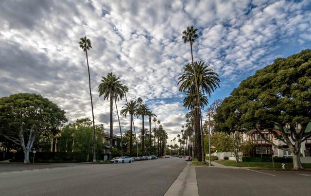 Palmový sad v Beverly Hills.
foto:  archív