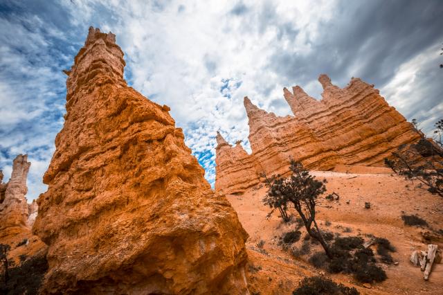 Bryce NP.
foto:  archív
