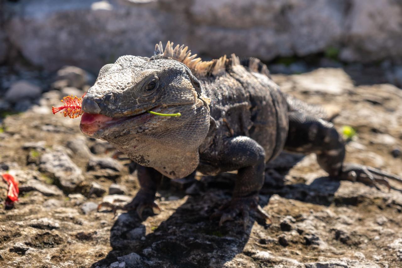 Ešte jeDeň záber z druhej strany. Foto: Zuzana Hábeková -
