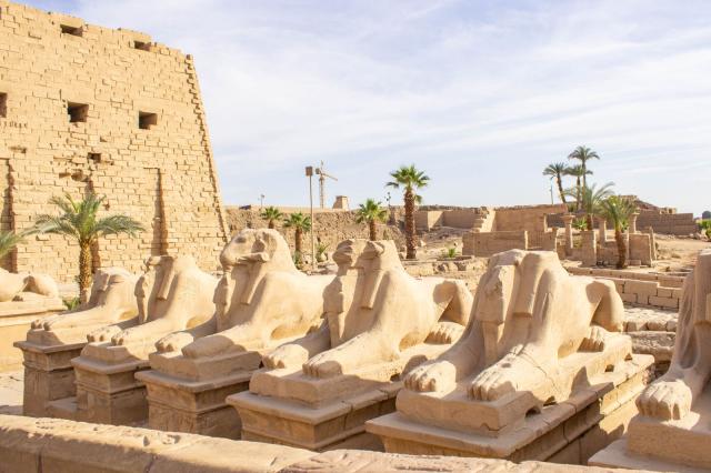 Pečený holub, tradičné egyptské jedlo v Luxore, podávaný s ryžo