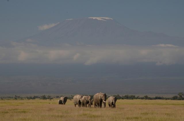 Amboseli, toto je to vysnívané Safari pod Kilimandžárom, ako ho