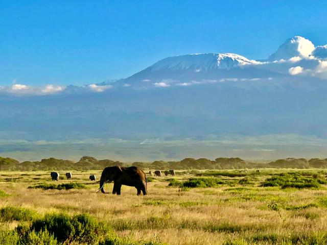 Ďalším z unikátnych parkov v Keni je národný park Amboseli. Dom